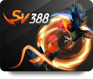S128 Top Bet Security: How Safe Is Your Money?